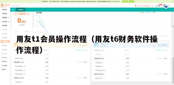 用友t1会员操作流程（用友t6财务软件操作流程）