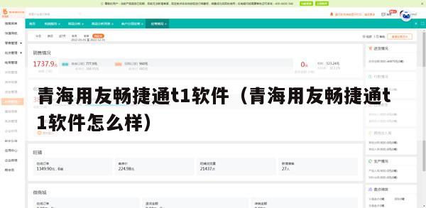 青海用友畅捷通t1软件（青海用友畅捷通t1软件怎么样）