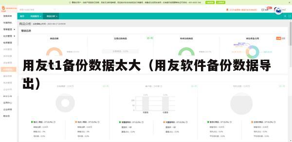 用友t1备份数据太大（用友软件备份数据导出）