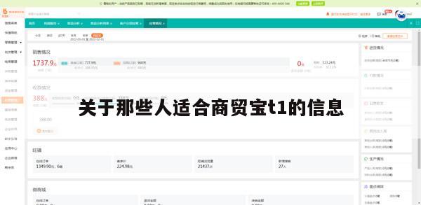 关于那些人适合商贸宝t1的信息