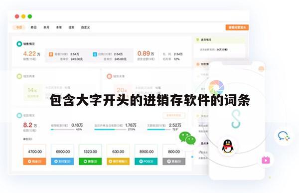 包含大字开头的进销存软件的词条