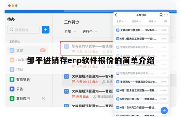 邹平进销存erp软件报价的简单介绍