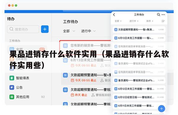 果品进销存什么软件实用（果品进销存什么软件实用些）