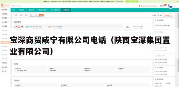 宝深商贸咸宁有限公司电话（陕西宝深集团置业有限公司）