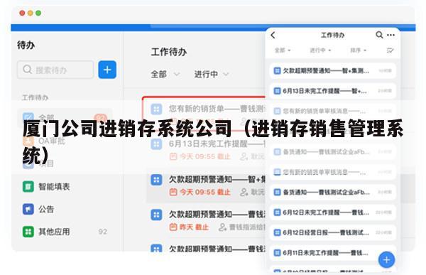 厦门公司进销存系统公司（进销存销售管理系统）