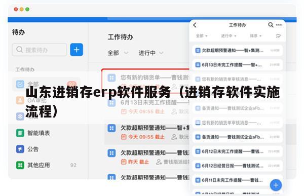 山东进销存erp软件服务（进销存软件实施流程）