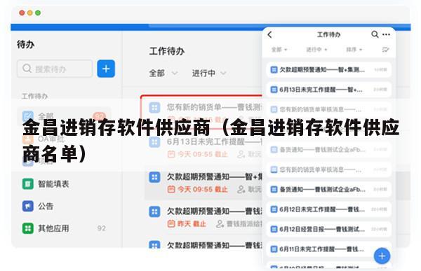 金昌进销存软件供应商（金昌进销存软件供应商名单）