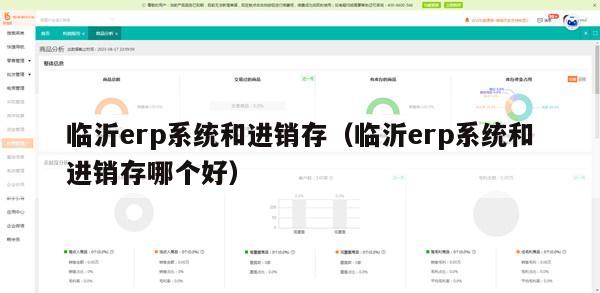 临沂erp系统和进销存（临沂erp系统和进销存哪个好）