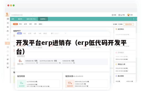 开发平台erp进销存（erp低代码开发平台）