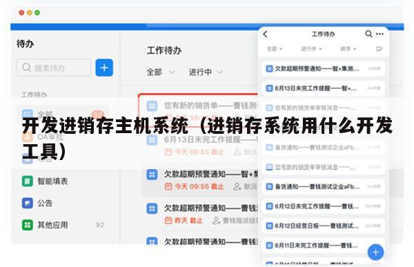 开发进销存主机系统（进销存系统用什么开发工具）