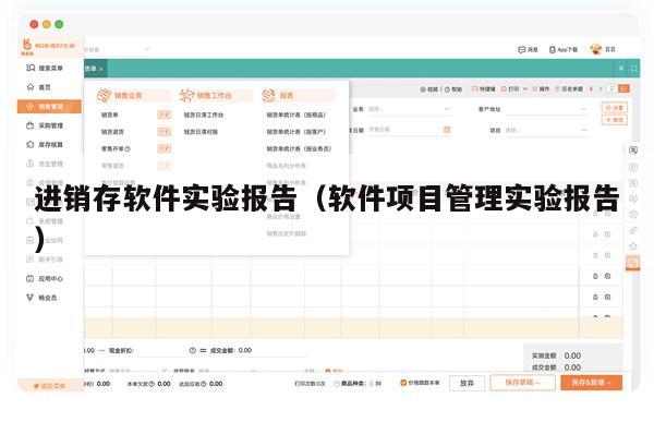 进销存软件实验报告（软件项目管理实验报告）