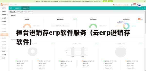 桓台进销存erp软件服务（云erp进销存软件）