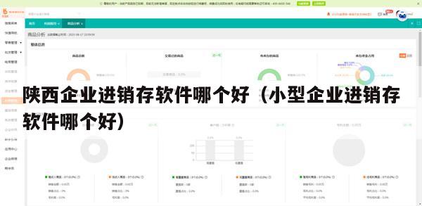 陕西企业进销存软件哪个好（小型企业进销存软件哪个好）