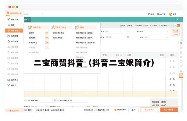 二宝商贸抖音（抖音二宝娘简介）
