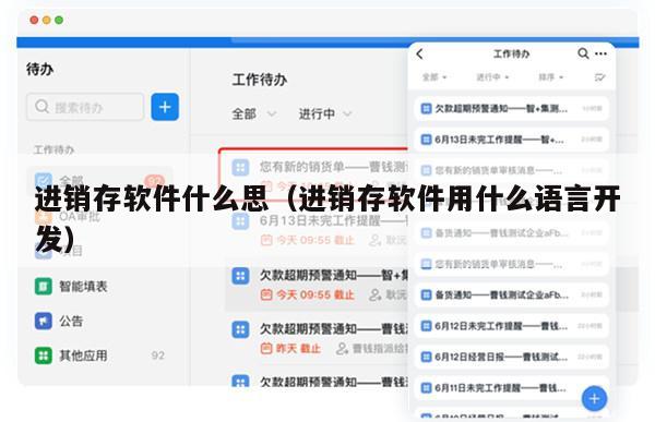进销存软件什么思（进销存软件用什么语言开发）