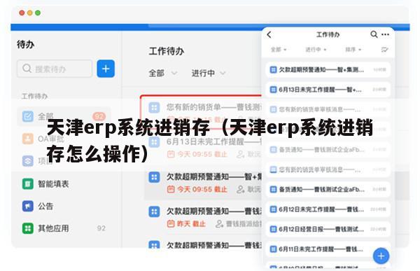 天津erp系统进销存（天津erp系统进销存怎么操作）