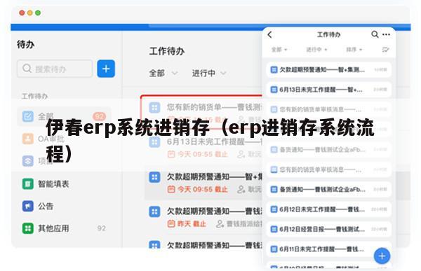 伊春erp系统进销存（erp进销存系统流程）