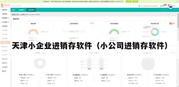 天津小企业进销存软件（小公司进销存软件）