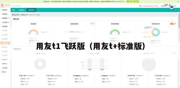 用友t1飞跃版（用友t+标准版）