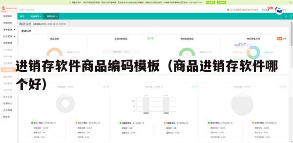 进销存软件商品编码模板（商品进销存软件哪个好）