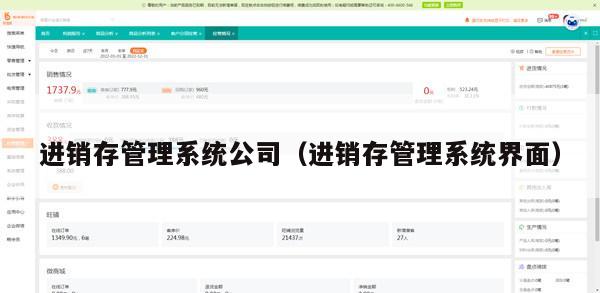 进销存管理系统公司（进销存管理系统界面）