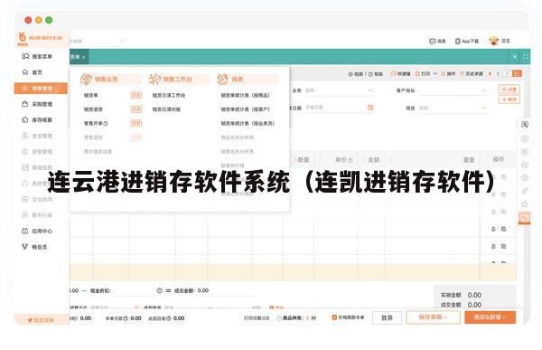 连云港进销存软件系统（连凯进销存软件）