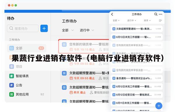 果蔬行业进销存软件（电脑行业进销存软件）