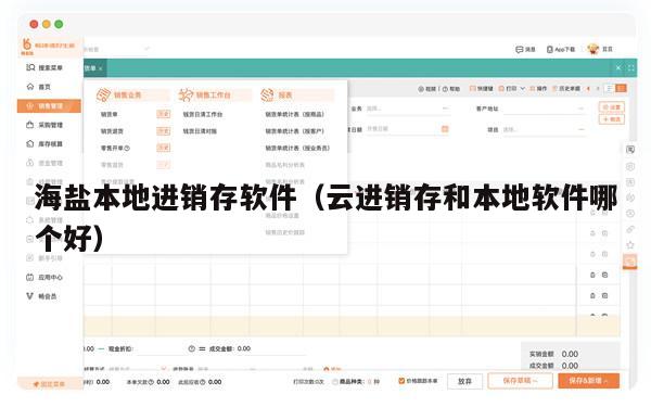 海盐本地进销存软件（云进销存和本地软件哪个好）