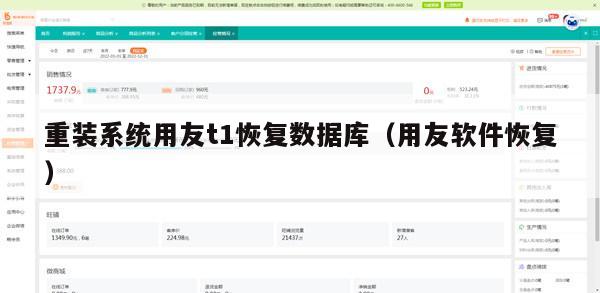 重装系统用友t1恢复数据库（用友软件恢复）