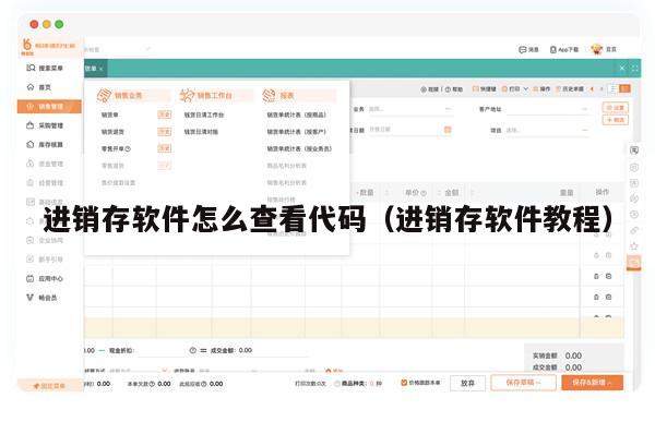进销存软件怎么查看代码（进销存软件教程）