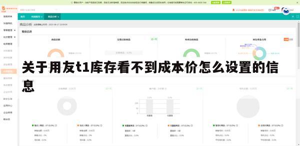 关于用友t1库存看不到成本价怎么设置的信息