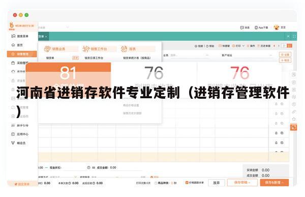 河南省进销存软件专业定制（进销存管理软件）