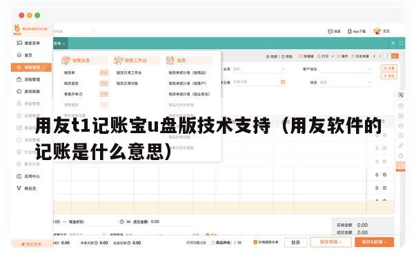 用友t1记账宝u盘版技术支持（用友软件的记账是什么意思）