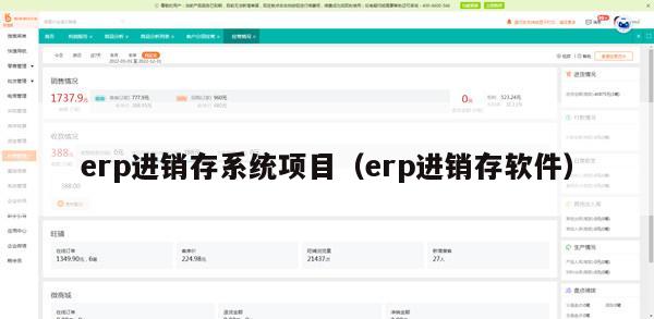 erp进销存系统项目（erp进销存软件）