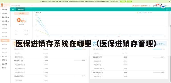 医保进销存系统在哪里（医保进销存管理）