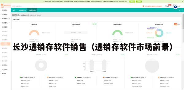 长沙进销存软件销售（进销存软件市场前景）