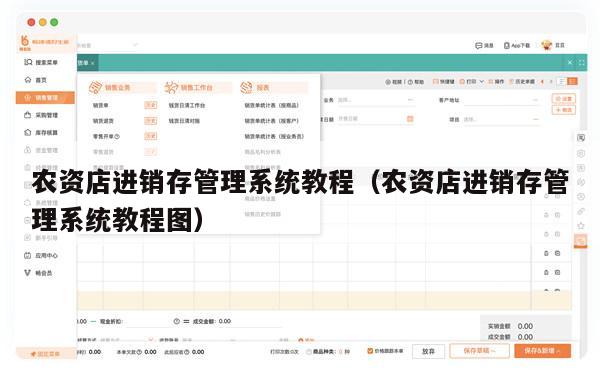 农资店进销存管理系统教程（农资店进销存管理系统教程图）