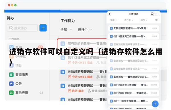 进销存软件可以自定义吗（进销存软件怎么用）
