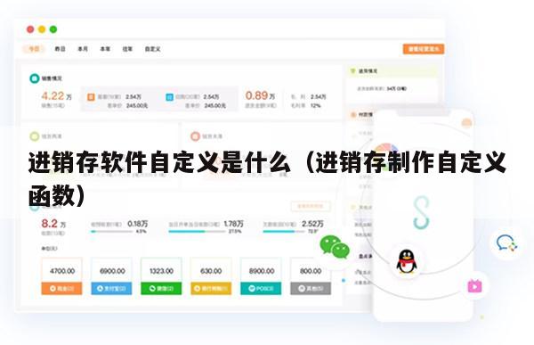 进销存软件自定义是什么（进销存制作自定义函数）