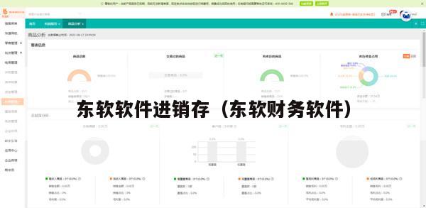东软软件进销存（东软财务软件）