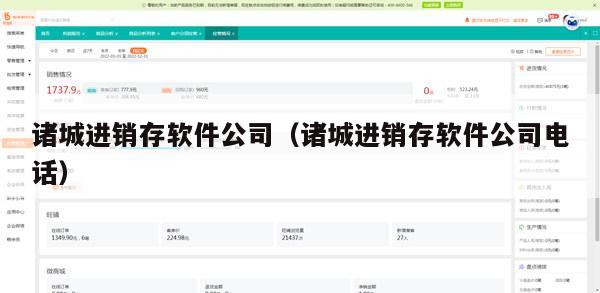 诸城进销存软件公司（诸城进销存软件公司电话）