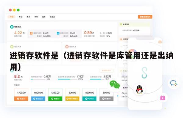 进销存软件是（进销存软件是库管用还是出纳用）