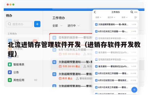 北流进销存管理软件开发（进销存软件开发教程）