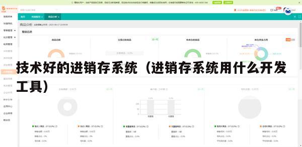 技术好的进销存系统（进销存系统用什么开发工具）