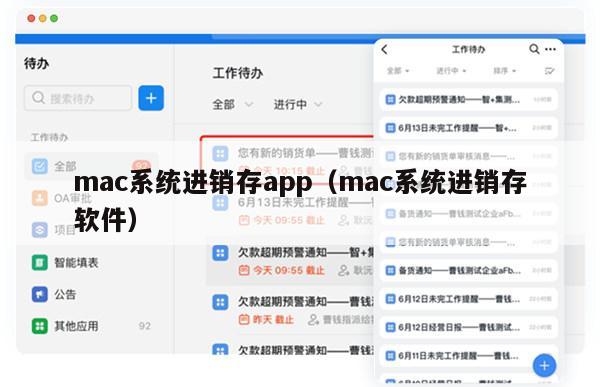 mac系统进销存app（mac系统进销存软件）