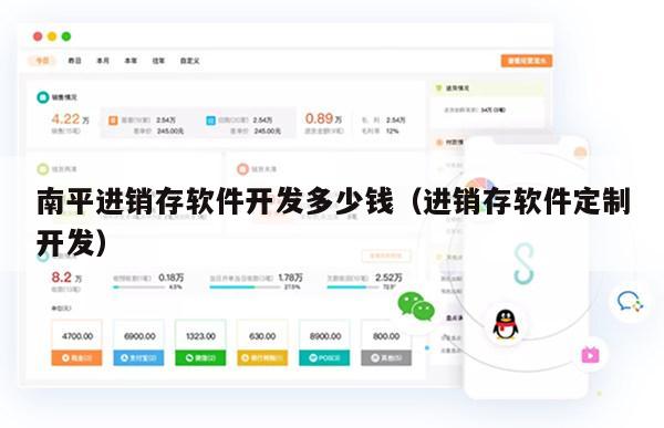 南平进销存软件开发多少钱（进销存软件定制开发）