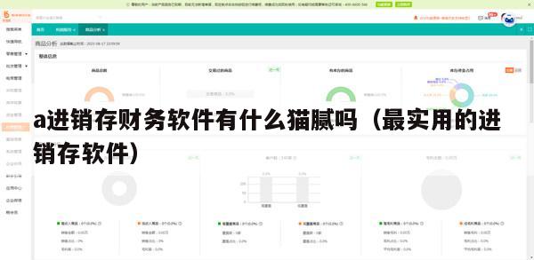 a进销存财务软件有什么猫腻吗（最实用的进销存软件）