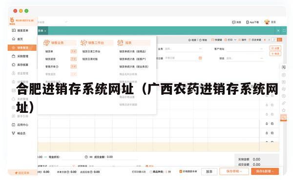 合肥进销存系统网址（广西农药进销存系统网址）