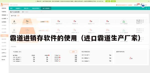 霸道进销存软件的使用（进口霸道生产厂家）