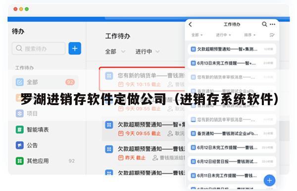 罗湖进销存软件定做公司（进销存系统软件）